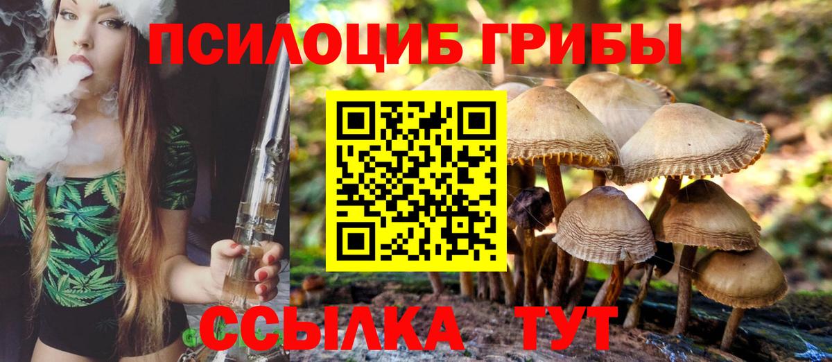 Кашира  Галлюциногенные грибы GOLDEN TEACHER  Вход с VPN  Псилоцибиновые грибы мицелий 